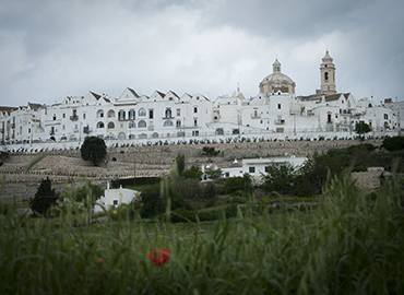 locorotondo valle d'itria